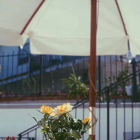 Fiore Di Loto * Carini