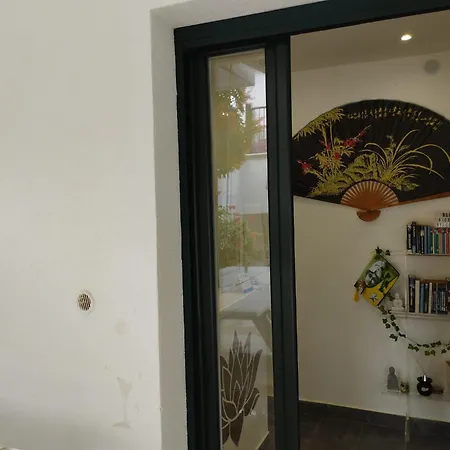 Fiore Di Loto Carini