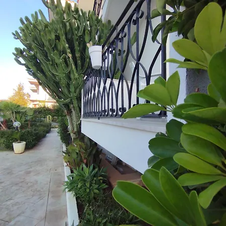 Fiore Di Loto Nocleg ze śniadaniem 3*