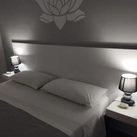 Fiore Di Loto קאריני